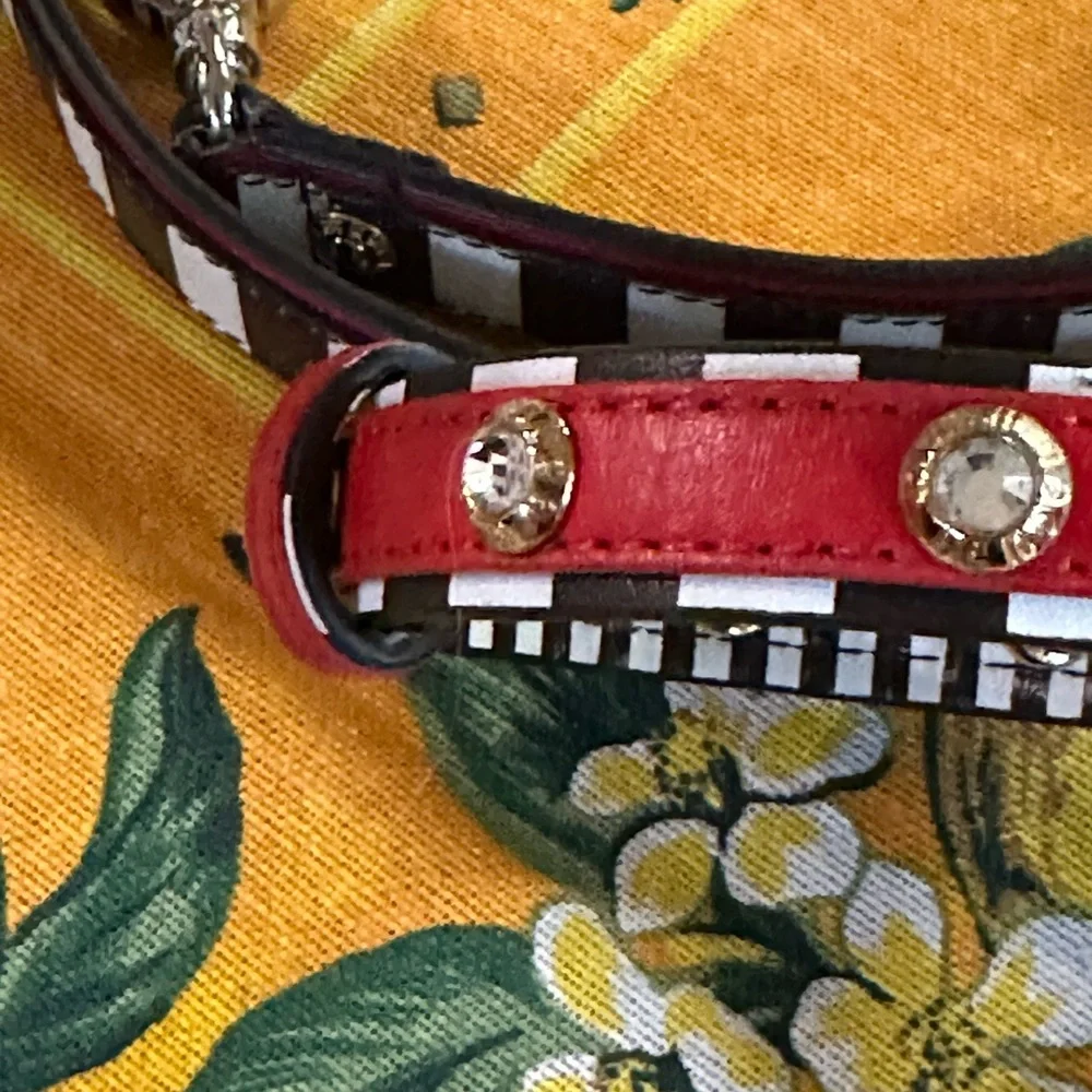 Vintage NWT Henri Bendel Centennial Stripe Safianno Leather Pet Collar Leash Set